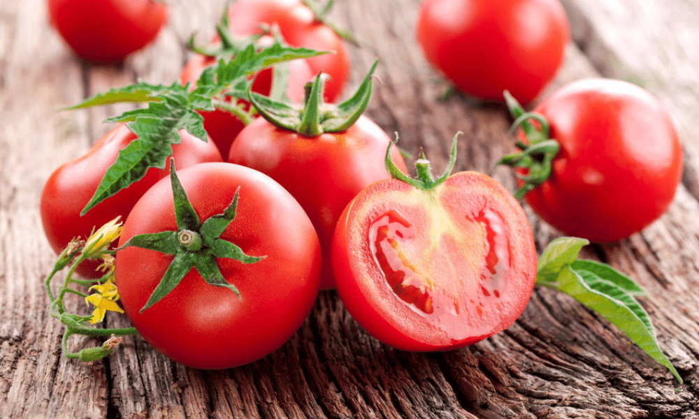 Feit of fabel: het kroontje van de tomaat is giftig